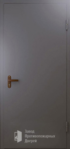 Фото двери «Техническая дверь №1 однопольная» в Александрову