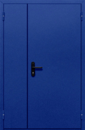 Фото двери «Полуторная глухая (синяя)» в Александрову