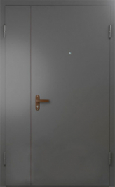 Фото двери «Техническая дверь №6 полуторная» в Александрову